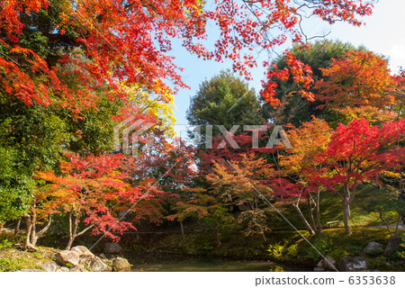 森洞故宮 6353638