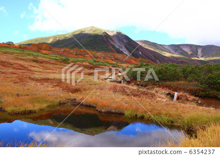 Green Mountain Autumn Leaves 6354237
