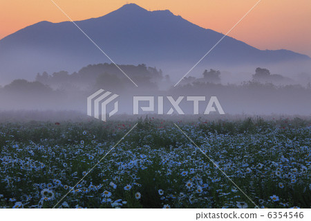 Morning glow of Mt. Tsukuba From Kozakawa Fureai Park 6354546
