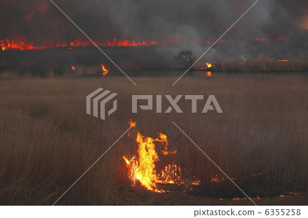 Yoshi-yaki Watarase瀨戶溫泉河和死樹包裹在火焰中 6355258