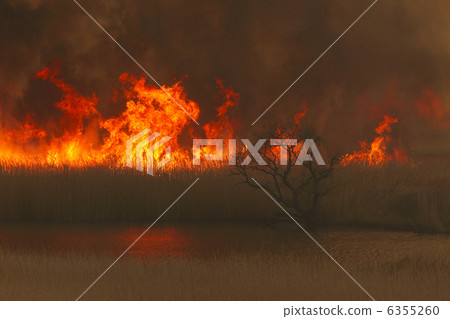 Yoshi-yaki Watarase瀨戶溫泉河和死樹包裹在火焰中 6355260