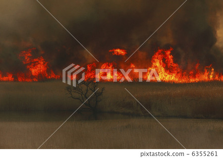 Yoshi-yaki Watarase Seto Onsen River and Dead Trees Wrapped in Flames Yoshi-yaki Watarase Seto Onsen River and Dead Trees Wrapped in Flames 6355261