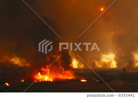 黑煙，遮住天空，遮住陽光Yoshi yaki Watari玫瑰盆 6355441