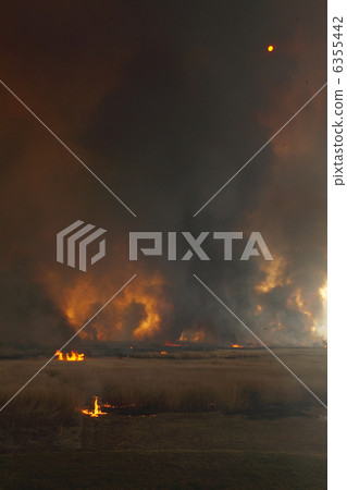 黑煙，遮住天空，遮住陽光Yoshi yaki Watari玫瑰盆 6355442