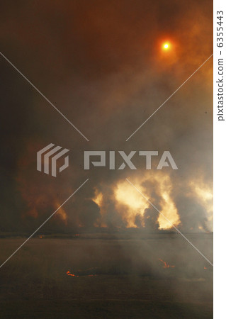 黑煙，遮住天空，遮住陽光Yoshi yaki Watari玫瑰盆 6355443