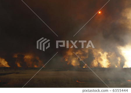 黑煙，遮住天空，遮住陽光Yoshi yaki Watari玫瑰盆 6355444