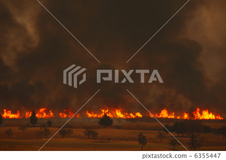 燃燒的大地Yoshi yaki Watarase莎草盆 6355447