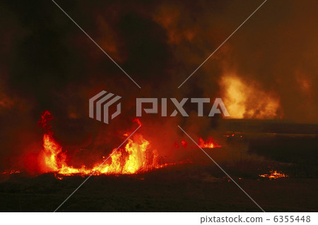 燃燒的大地Yoshi yaki Watarase莎草盆 6355448