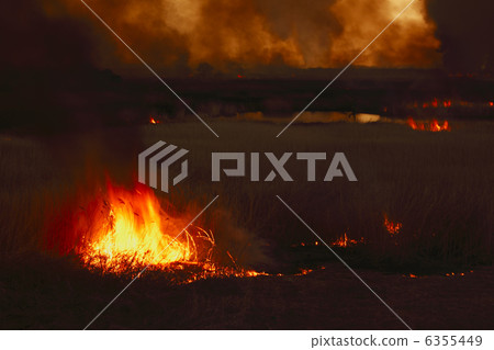 燃燒的大地Yoshi yaki Watarase莎草盆 6355449