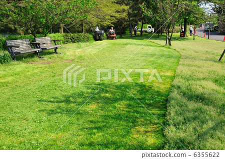 草坪在公園裡割草 草坪在公園裡割草 6355622
