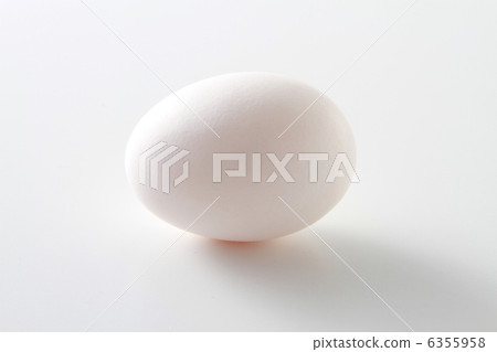 Egg white egg hen egg food ingredient egg image white Egg white egg hen egg food ingredient egg image white 6355958