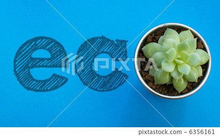 環境問題 生態學 生態 6356161