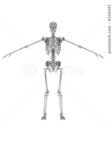 Skeleton silver 1 6356445