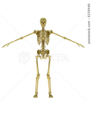 Skeleton Gold 1 6356446
