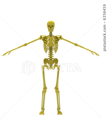 Skeleton Yellow 1 Skeleton Yellow 1 6356459