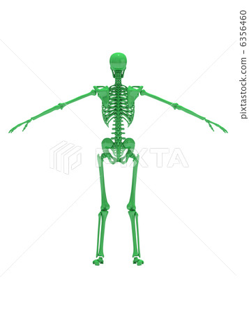 Skeleton Green 4 Skeleton Green 4 6356460