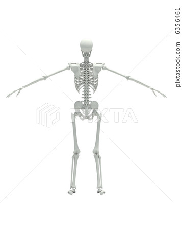Skeleton White 4 Skeleton White 4 6356461