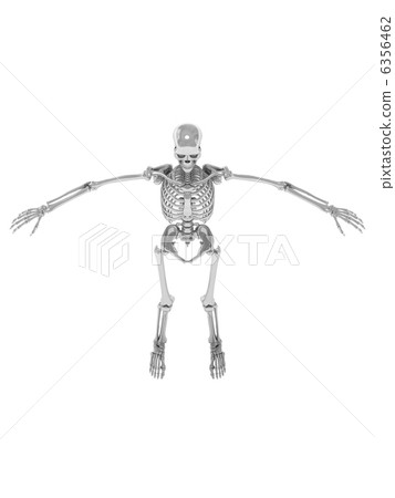 Skeleton Silver 2 Skeleton Silver 2 6356462