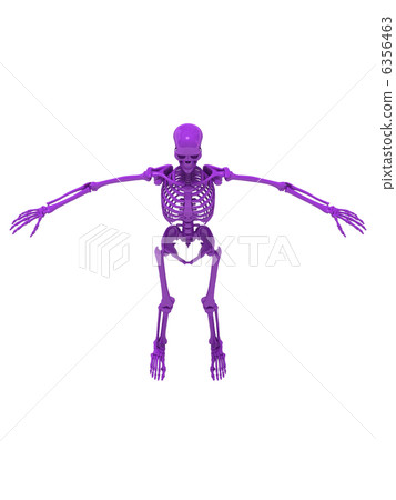 骷髏紫2 骷髏紫2 6356463