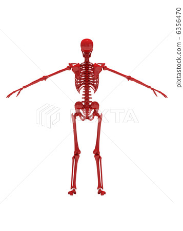 Skeleton Red 4 6356470