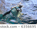 Penguin 6356695