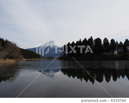 Tanuki Lake Upside-down Tanukiko Lovers Fuji Fuji 6359766