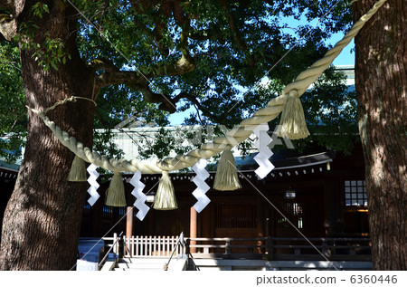 Meiji Jingu  6360446