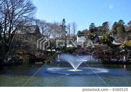 冬天井之頭公園 6360520