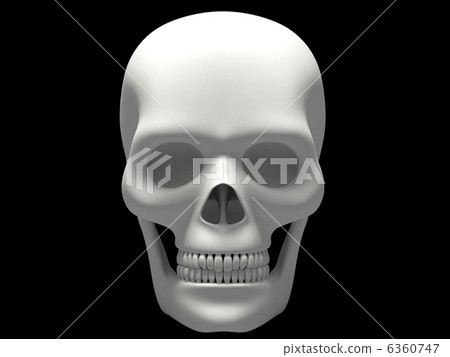 Skeleton White 5 6360747
