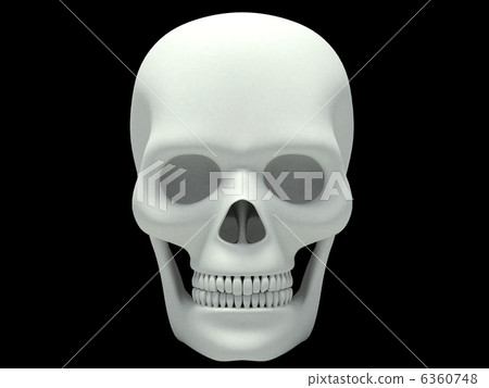Skeleton White 4 6360748