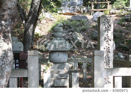 Mr. Asai sanctuary 6360971