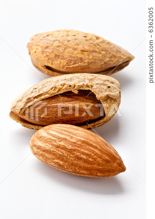 Almond 6362005