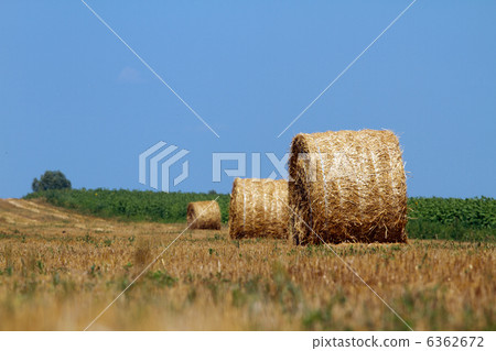 Hay bales 6362672
