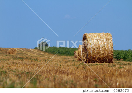 Hay bales 6362673