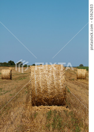 Hay bales 6362683