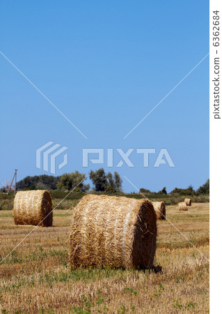 Hay bales 6362684