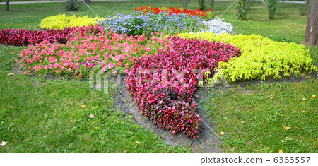 flower landscaping flower landscaping 6363557