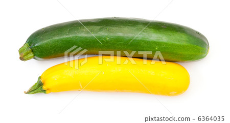 Two Fresh Vegetable Zucchini 6364035
