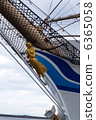 Indigo blue 6365058