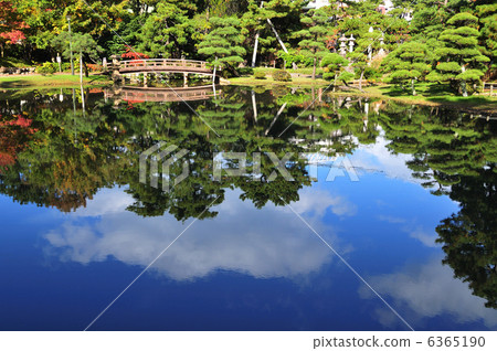 Hakusan park autumn Hakusan park autumn 6365190