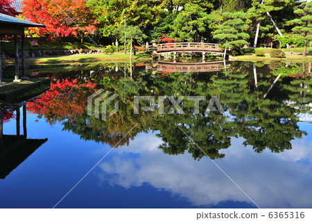 Hakusan park autumn leaves 6365316