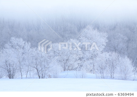  有霧的冰 6369494