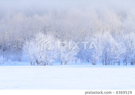  有霧的冰 6369529