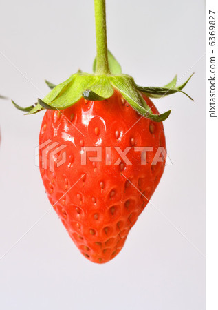 Strawberry  6369827