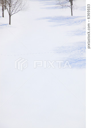 樹和陰影的雪原 樹和陰影的雪原 6369883