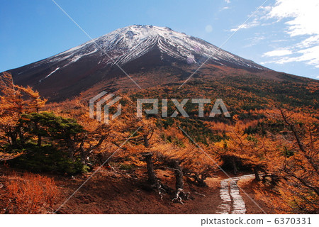Fuji of autumn leaves Fuji of autumn leaves 6370331