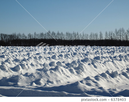 對交錯土豆的措施 對交錯土豆的措施 6378403
