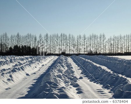 對交錯土豆的措施 對交錯土豆的措施 6378404
