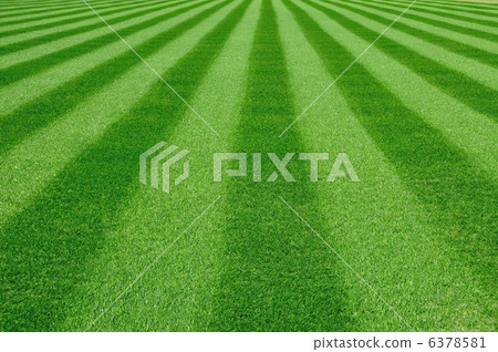 Lawn replacement Lawn replacement 6378581