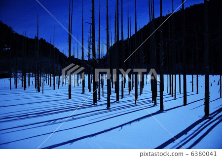 月光之豆 6380041